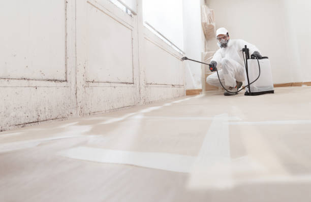 24/7 Emergency Mold Testing experts in Spangler, PA